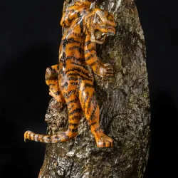 Climbing Tiger