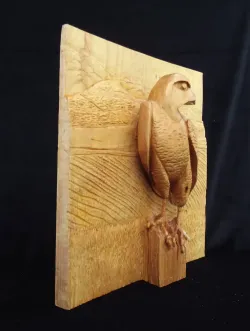 The Peregrine.