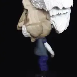 Albert Einstein profile view