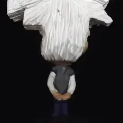 Albert Einstein from the back