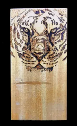 Burnt Tiger