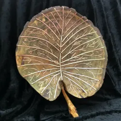 Lily Pad Leaf
