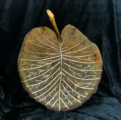 Lily Pad Leaf