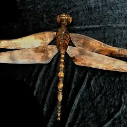 Dragonfly