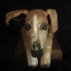 Salute to Dante and Brady