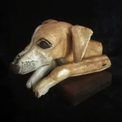 Salute to Dante and Brady