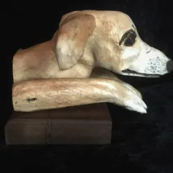 Salute to Dante and Brady