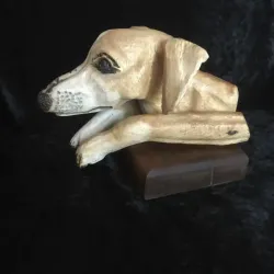 Salute to Dante and Brady