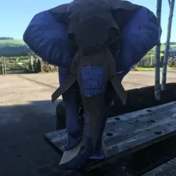 Elephant
