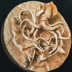 Kraken finished but not painted